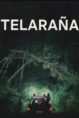 Poster Telaraña
