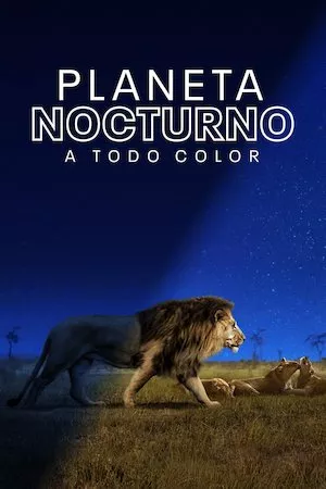 Poster Planeta nocturno: a todo color