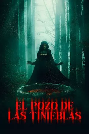 Poster The Well