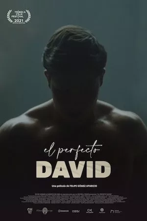 poster de la pelicula El perfecto David en HD