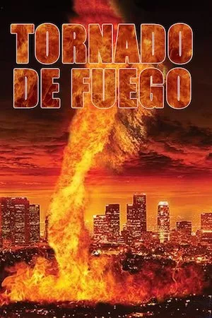 Poster Fire Twister