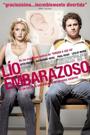 Poster Knocked Up (Lío embarazoso)