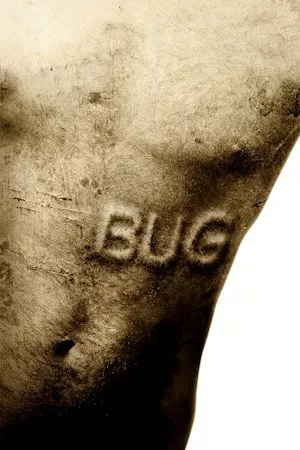 poster de la pelicula Bug en HD