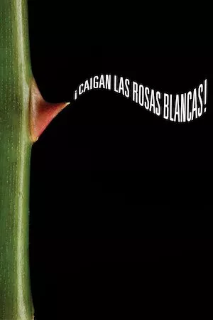 ¡Caigan las rosas blancas!