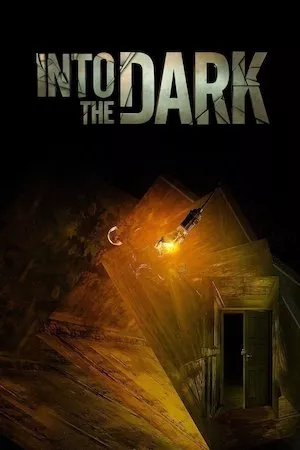 Poster Into the Dark