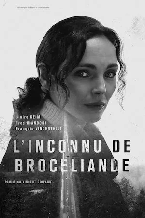 Poster L’Inconnu de Brocéliande