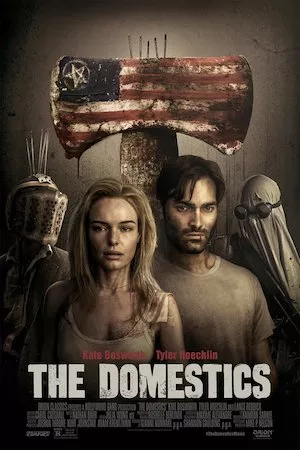 Poster The Domestics