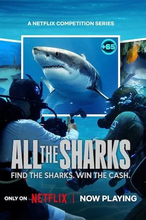 Poster All the Sharks