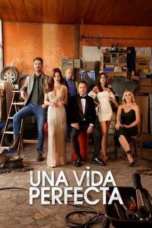 poster de la serie Una vida perfecta online gratis