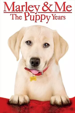 Poster Marley and Me: The Puppy Years (Marley y yo 2)