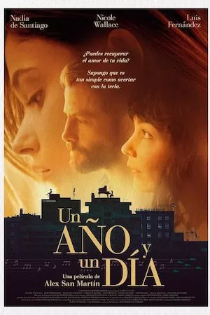 Poster Un año y un día