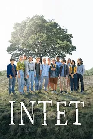 poster de la pelicula Intet en HD