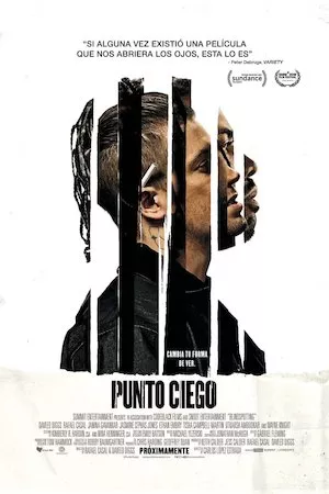 poster de la pelicula Blindspotting en HD