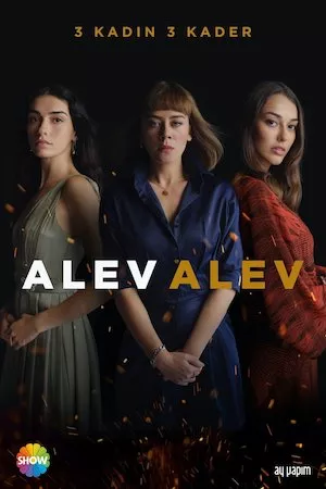 poster de la serie En Llamas online gratis