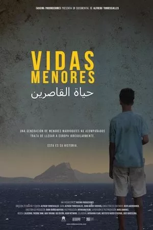 poster de la pelicula Vidas menores en HD