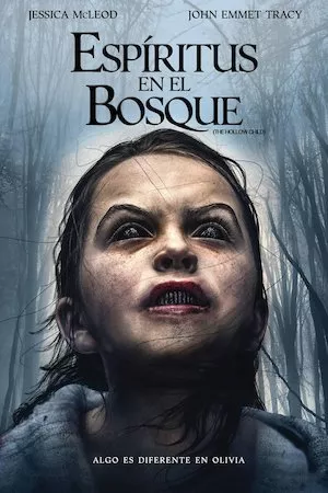 Poster The Hollow Child