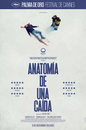 Poster Anatomie d'une chute