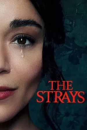 poster de la pelicula The Strays en HD