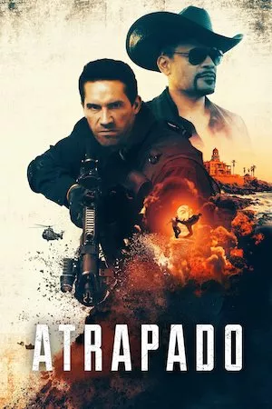 poster de la pelicula Seized en HD