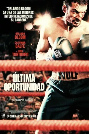 poster de la pelicula The Cut en HD