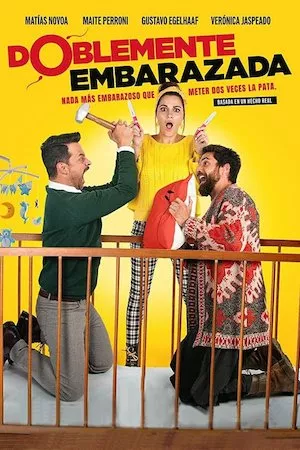 poster de la pelicula Doblemente Embarazada en HD