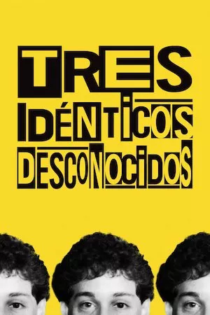 Poster Three Identical Strangers