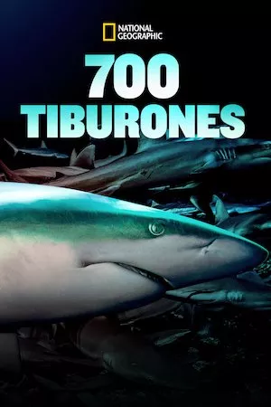 poster de la pelicula 700 Tiburones en HD