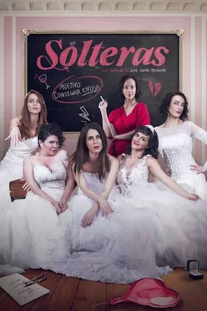 poster de la pelicula Solteras en HD