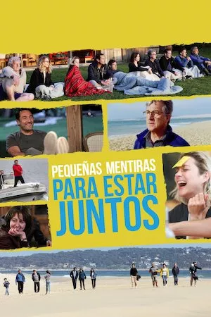 Poster Pequeñas mentiras para estar juntos