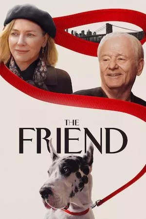 poster de la pelicula The Friend en HD