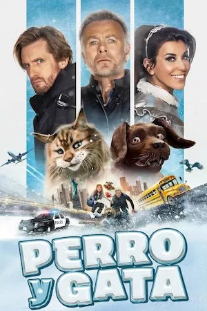 poster de la pelicula Chien et Chat en HD