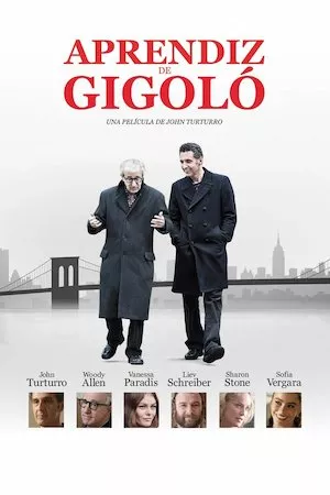 Poster Fading Gigolo (Aprendiz de gigoló)
