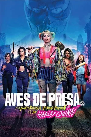 Poster Birds of Prey (Aves de presa)
