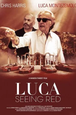Poster Luca: Seeing Red