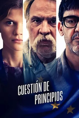 poster de la pelicula Une affaire de principe en HD