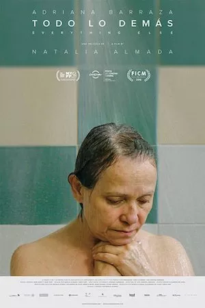 poster de la pelicula Todo lo demás en HD