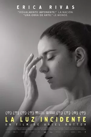 Poster La luz incidente
