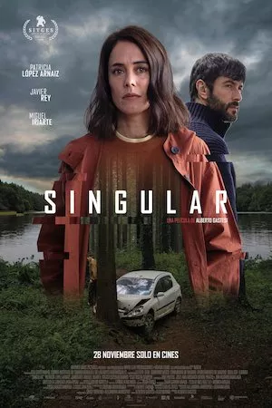Poster Singular
