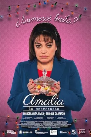poster de la pelicula Amalia, la secretaria en HD