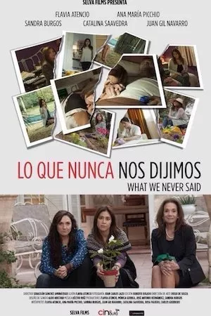 Poster Lo que nunca nos dijimos