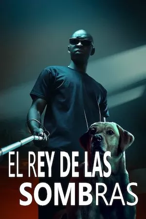 poster de la pelicula El rey de las sombras en HD