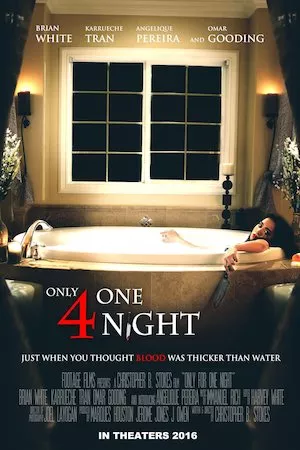 poster de la pelicula Only for One Night en HD