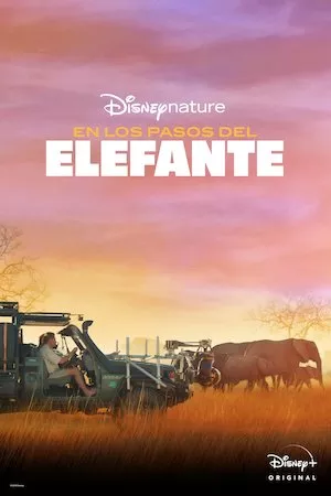 Poster In the Footsteps of Elephant