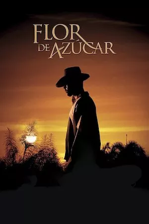 poster de la pelicula Flor de azúcar en HD