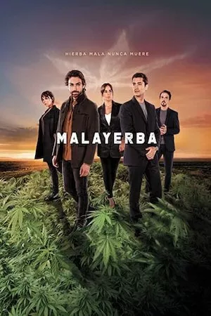 poster de la serie MalaYerba online gratis