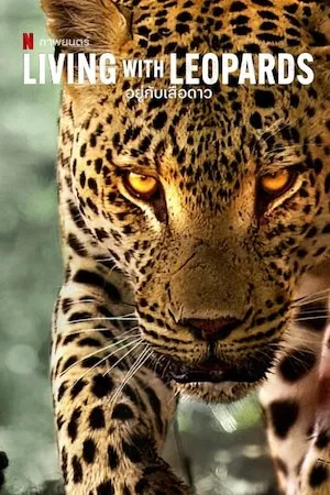 poster de la pelicula La vida entre leopardos en HD