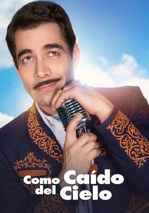 Poster Como Caído Del Cielo