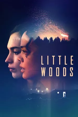Poster Little Woods