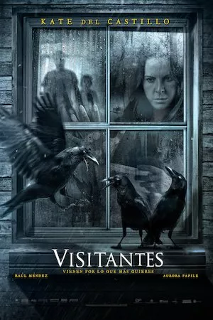 poster de la pelicula Visitantes en HD