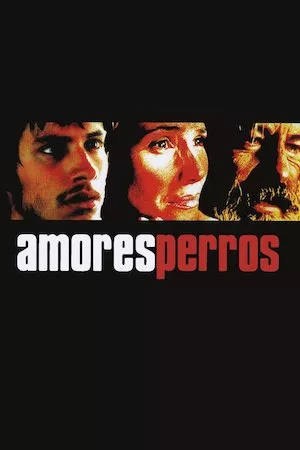 Poster Amores perros